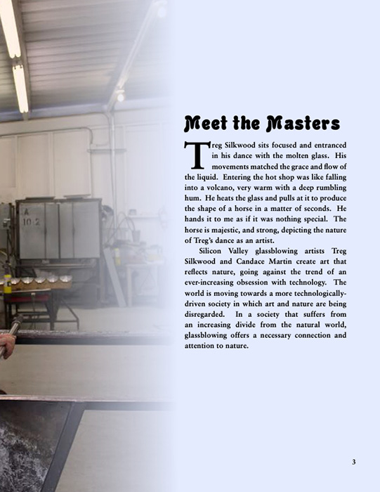 Article by Stephen Falsetti